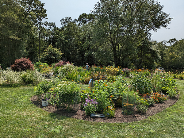 pollinator garden